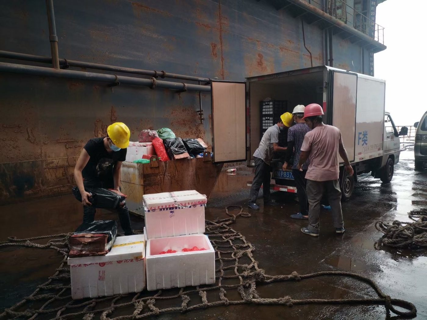 Container Vessels supply operation